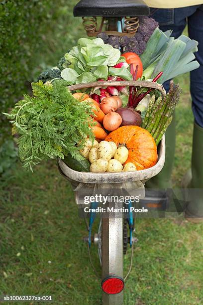 unrecognizable person standing at bike with basket of assorted vegetables, low section - alho francês imagens e fotografias de stock