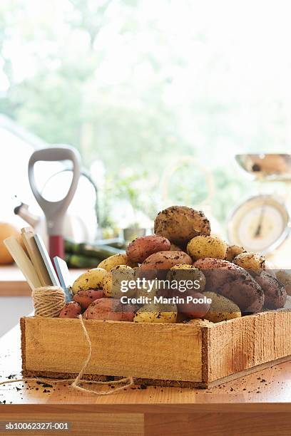 Potato Counter Potato Counter Photos et images de collection - Getty Images