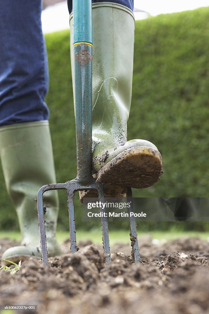 Unrecognizable person digging with pitchfork, low section