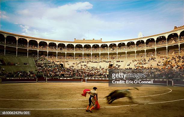 matador facing off with bull, blurred motion - bullfighter stock pictures, royalty-free photos & images