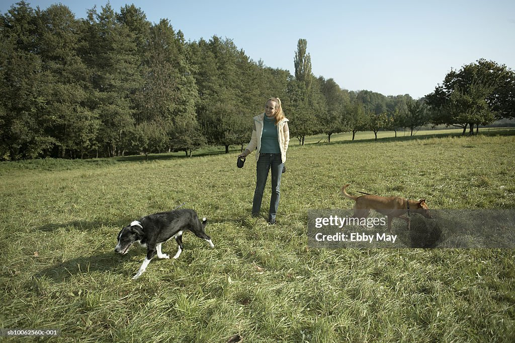 Young woman standing in meadow with two dogs