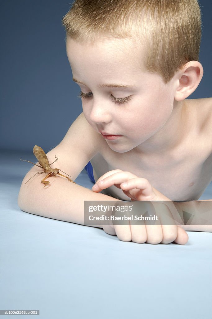 Boy (8-9) lying down and looking at insect crawling on hand