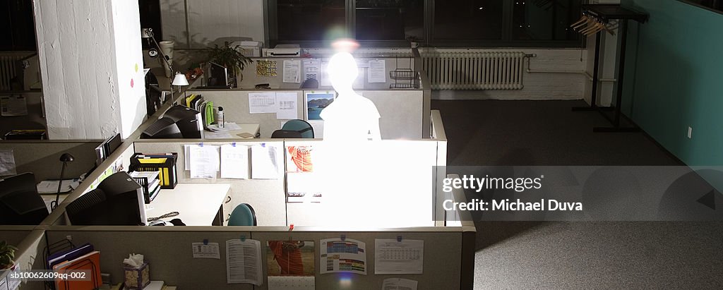 Female office worker working in office