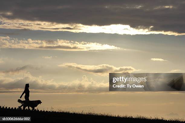 a woman walks a dog - wt1 stock pictures, royalty-free photos & images