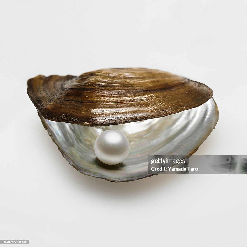 Oyster shell with pearl inside