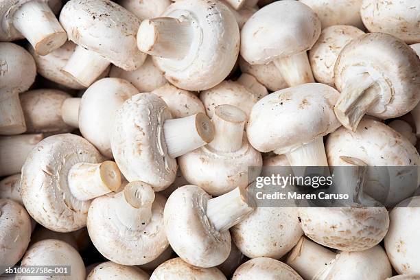 white mushrooms in bin. close up - edible mushroom stock pictures, royalty-free photos & images