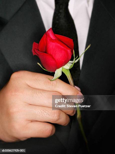 Handyman With Roses 643 Man And Suit And Hold Rose Stock Photos, High-Res Pictures, and ...