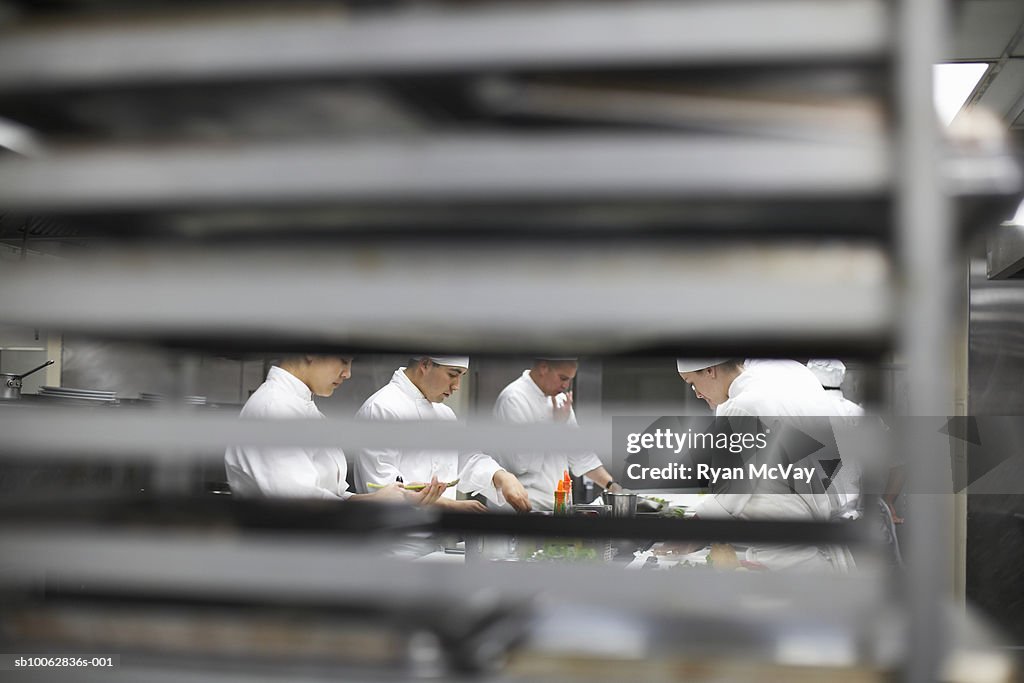 Chefs working in commercial kitchen, view through grill