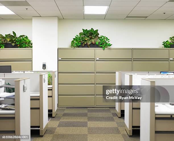 corridor dividing cubicles - cubicle photos et images de collection