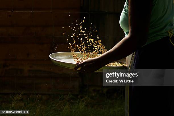 chamarel coffee factory, case noyale.  mauritius - wt1 stock pictures, royalty-free photos & images