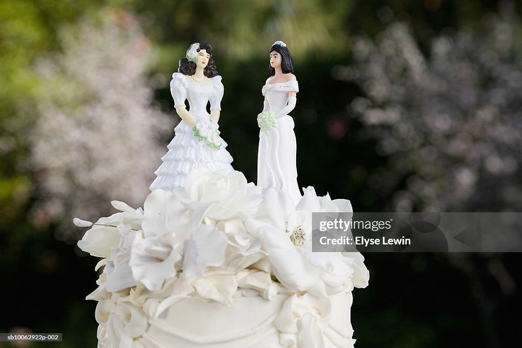 Two female figurines on top of wedding cake, close-up