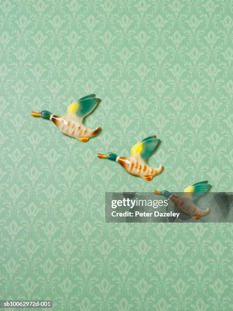 flying duck ornaments on wallpapered wall - three objects stock pictures, royalty-free photos & images