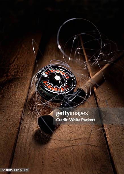 Tangled Rod 59 Tangled Fishing Pole Stock Photos, High-Res Pictures, and Images ...