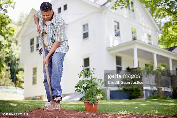 mature man digging with spade in house backyard - sean gardner stock pictures, royalty-free photos & images