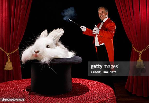 magician with rabbit in hat, smiling, side view - chapeau haut de forme photos et images de collection