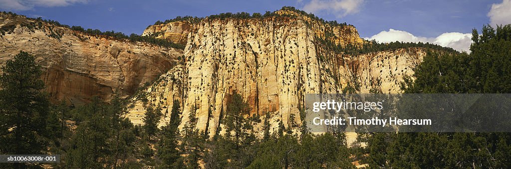 USA, Utah, Zion National Park, Mountain and trees