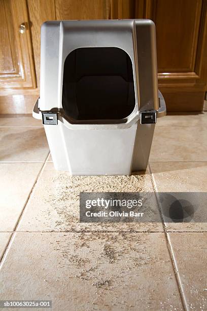 Litter Mess 24 Cat Litter Mess Stock Photos, High-Res Pictures, and Images - Getty ...