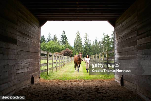 mature woman walking horse into stable - horse barn stock pictures, royalty-free photos & images