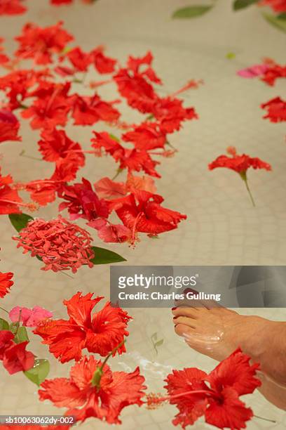 woman's foot in bathtub with hibiscus flowers, low section - red tub stock-fotos und bilder