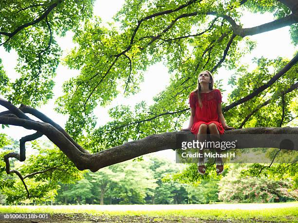 teenage girl (16-18) sitting on tree branch - michael sit stock pictures, royalty-free photos & images