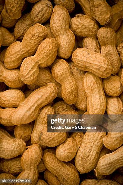 peanuts, full frame - nutshell stock pictures, royalty-free photos & images