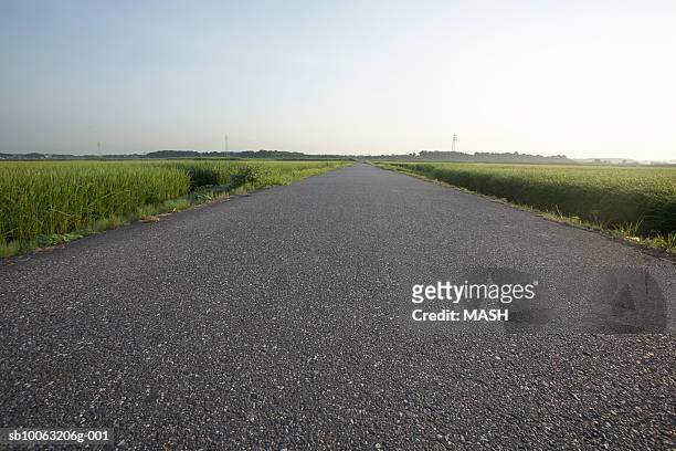 road passing through fields - asfalto fotografías e imágenes de stock