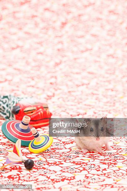 dzhungarian hamster (phodopus sungorus) next to toys on floral pattern background - djungarian hamster stock pictures, royalty-free photos & images