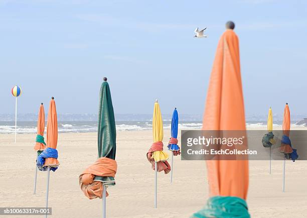 closed sunshades on beach - deauville beach stock pictures, royalty-free photos & images