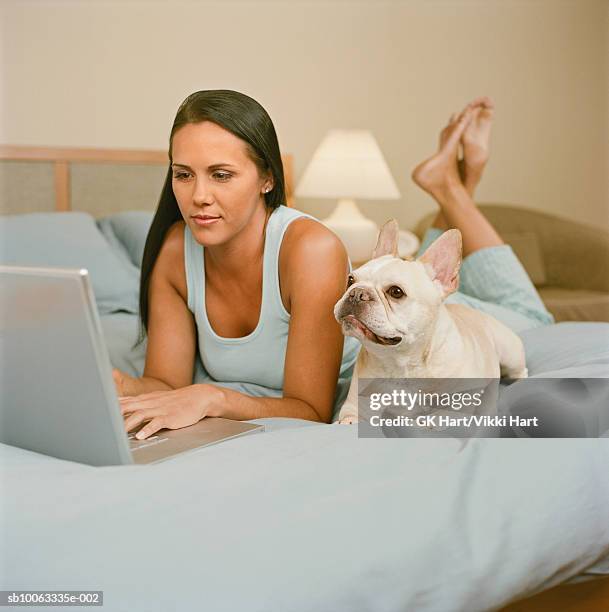 young woman with french bulldog sitting on bed, using laptop - businesswoman barefoot stock-fotos und bilder