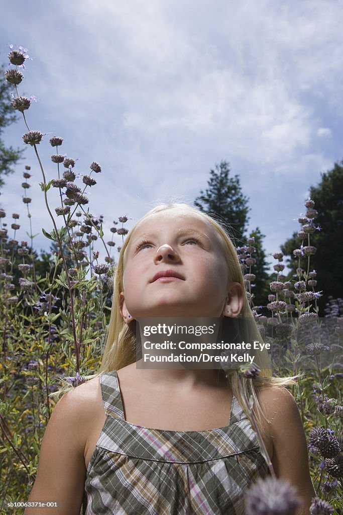Girl (8-9 years) standing on flower field, looking up