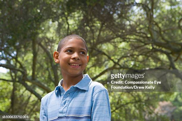 boy (10-11 years) standing in forest, low angle view - 10 11 years boy stock-fotos und bilder
