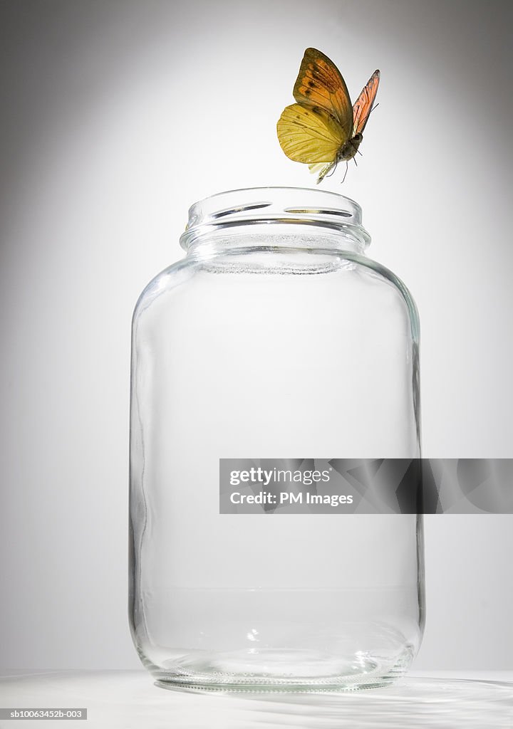Butterfly flying out of glass jar, close-up