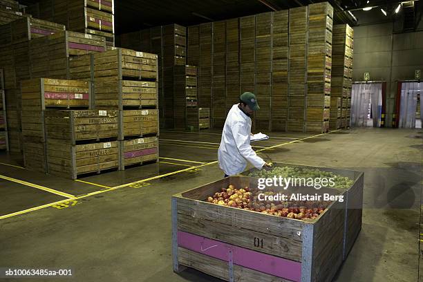 worker in cold storage room controlling boxes of apples - cold storage room stock pictures, royalty-free photos & images