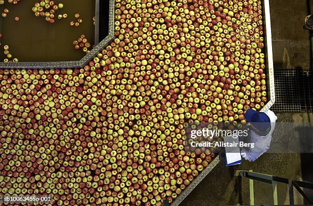 elevated view of male worker controlling apples floating in bath, apple processing factory - lebensmittelindustrie stock-fotos und bilder