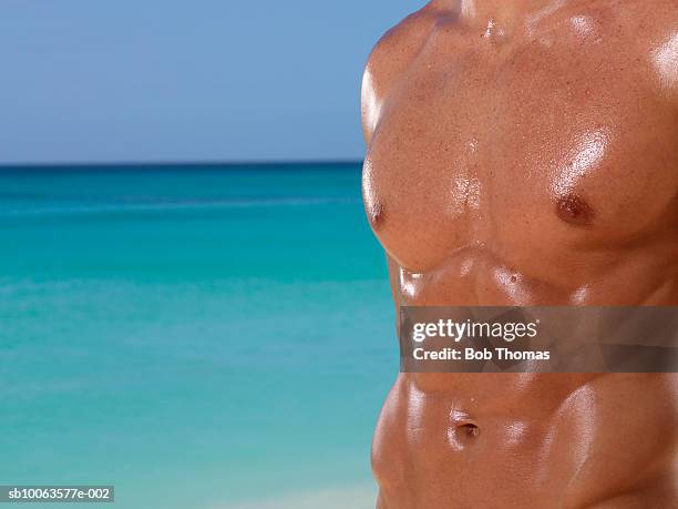 bare body of mid adult man, mid section, close-up - homem moreno imagens e fotografias de stock