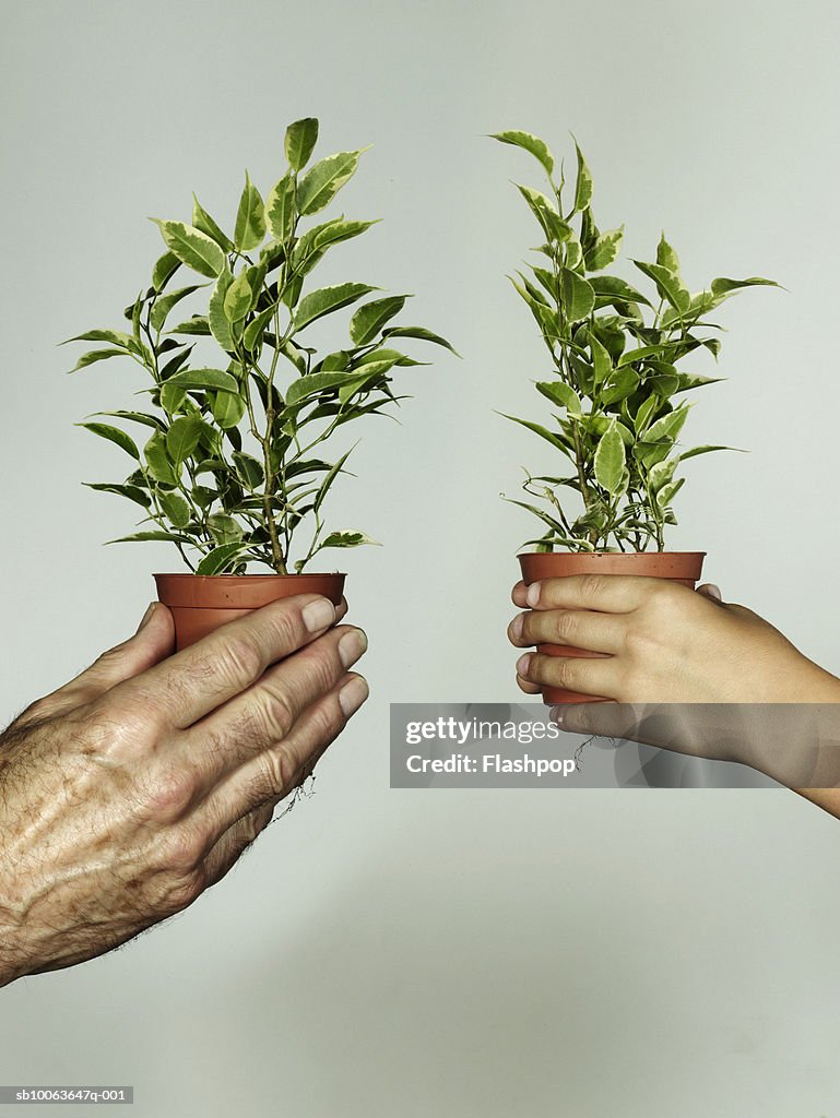 Grandfather and grandson (6-7) holding pot plant, close-up