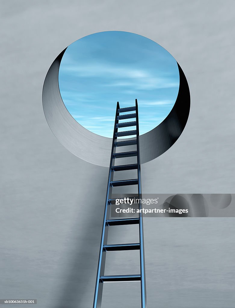 Ladder Through Escape Hatch
