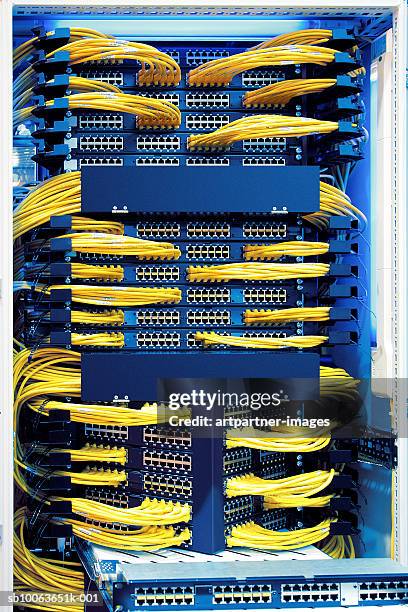 network cables and computer switches in rack - kabel stock-fotos und bilder