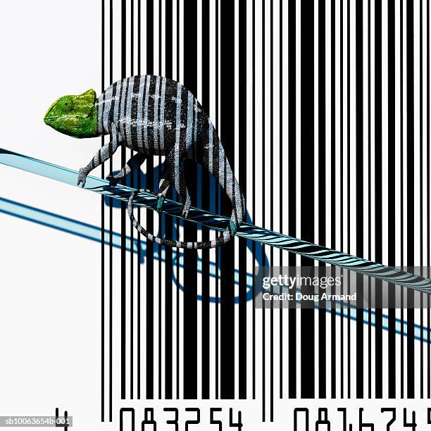 chameleon with bar code background - chameleon white background stock illustrations