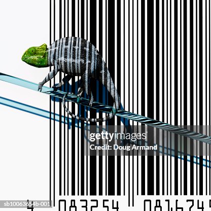 Chameleon with Bar Code Background Chameleon with Bar Code Background