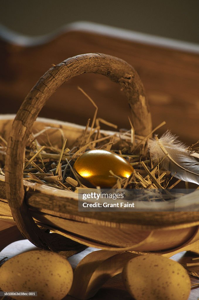 One golden egg in basket with feathers