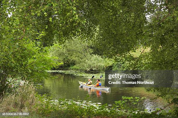 couple canoeing on lake, seattle, washington, usa - washington park arboretum foto e immagini stock