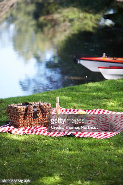 picnic hamper and rug by lake, seattle, washington, usa - manta de picnic fotografías e imágenes de stock