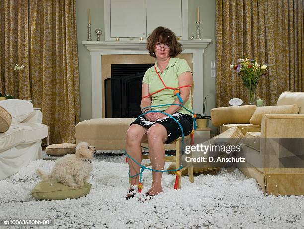 woman tied to chair in mess of packing peanuts with dog watching in living room - angry dog stock pictures, royalty-free photos & images