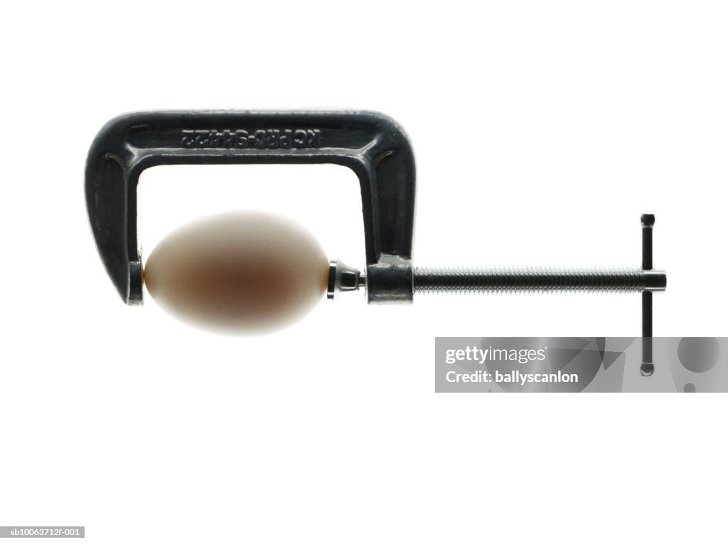 Egg in vise grip, white background