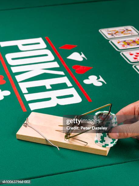 man holding gambling chips in mouse trap and cards on poker table, elevated view - man mousetrap stock pictures, royalty-free photos & images