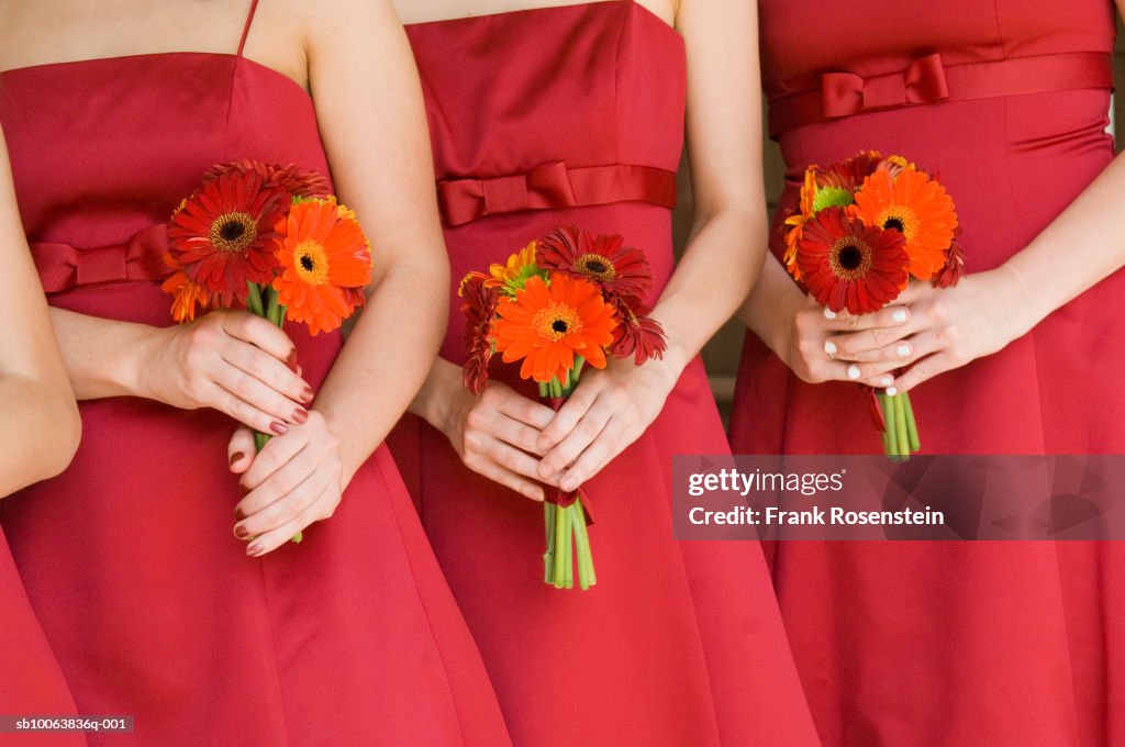 Bridesmaids in red dresses holding bouquets of Gerber daisies, mid section