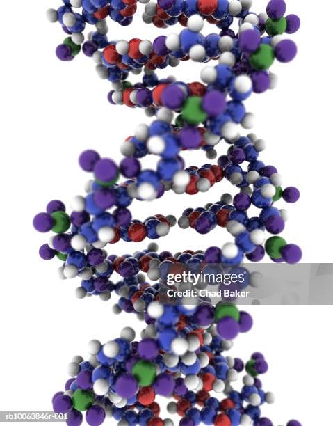 three dimentional image of dna double helix (digitally generated) - dna model stock illustrations