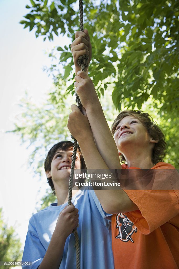 Boys (10-13) pulling rope hanging on tree