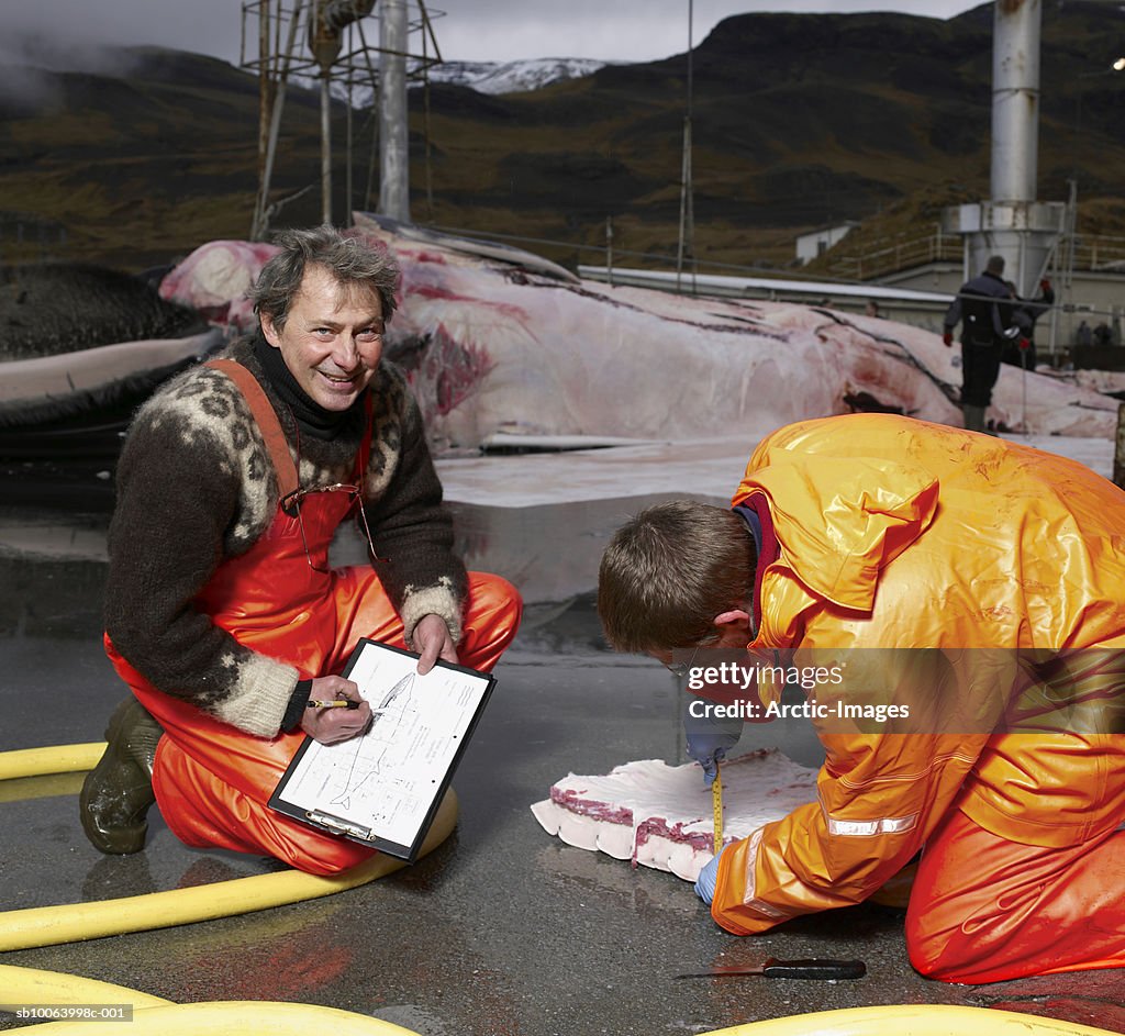 Two fishermen measuring whale meat